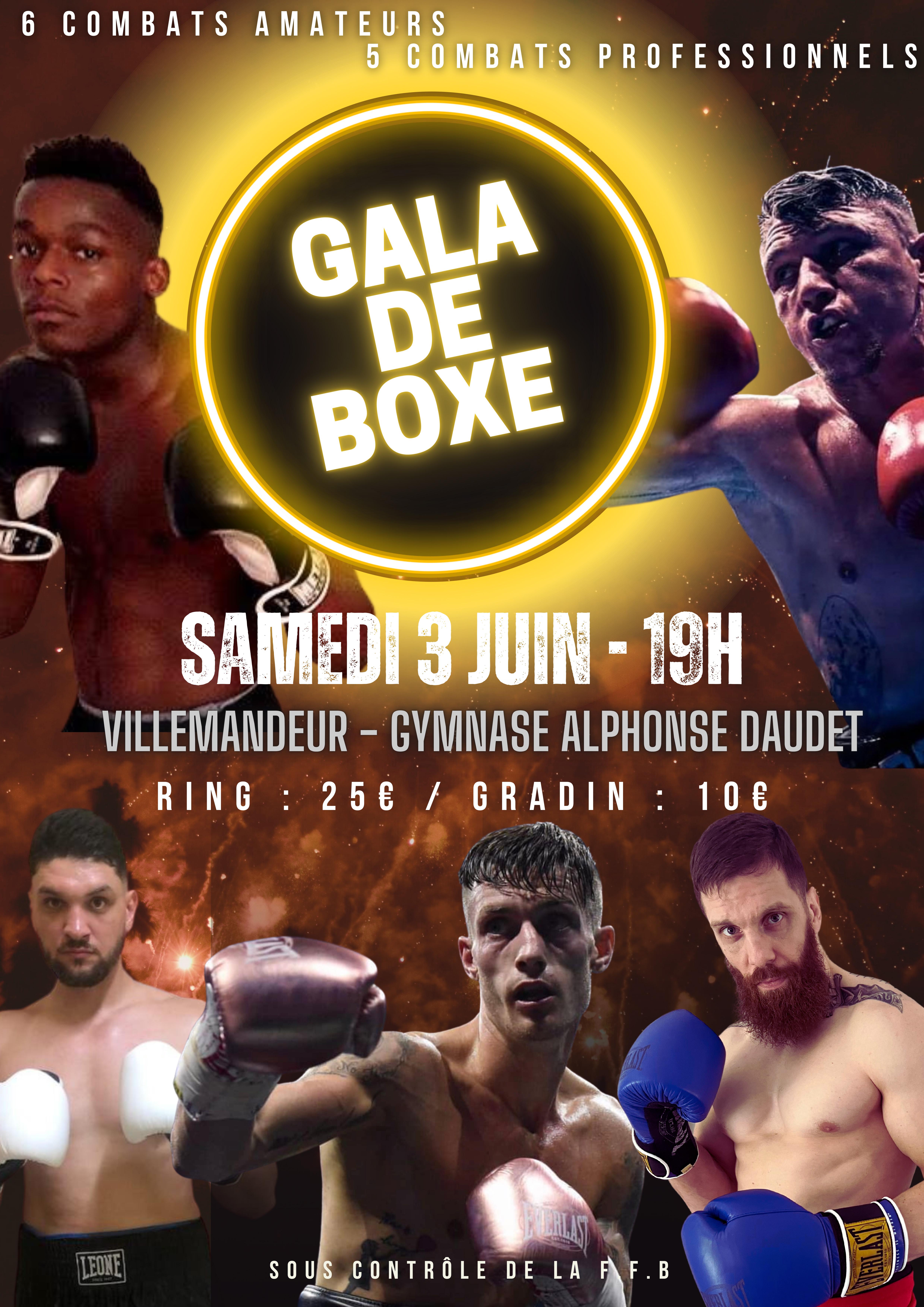 Gala de Boxe 2023 - MAIRIE VILLEMANDEUR - Site officiel de la commune