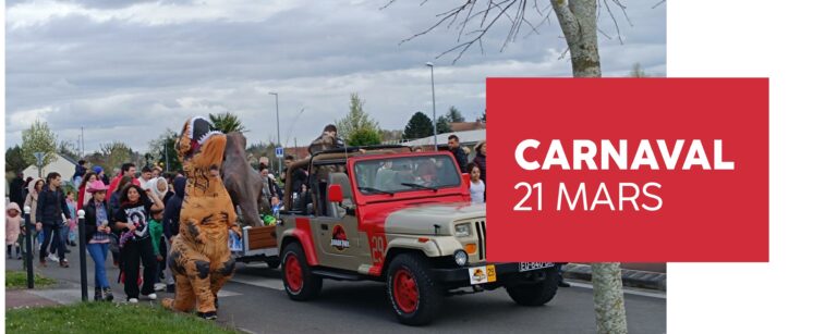 visuel site internet-carnaval