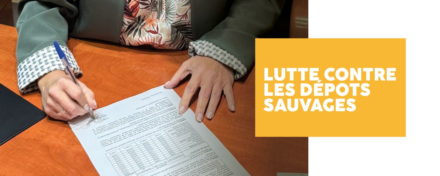 visuel site internet-depots sauvages